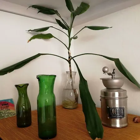 Huoneisto Wehost Kolmas Linja *